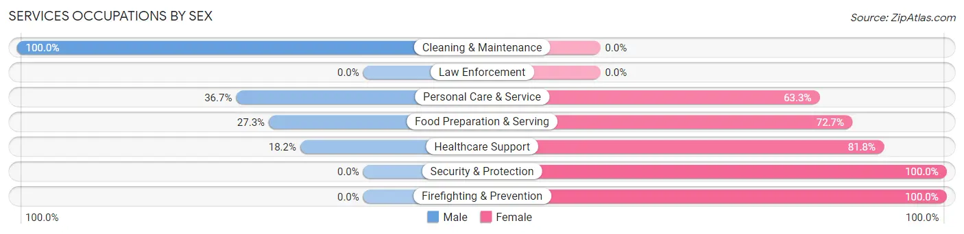 Services Occupations by Sex in Zip Code 01031
