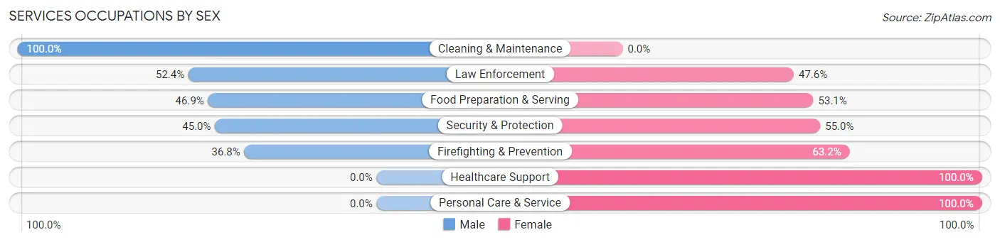 Services Occupations by Sex in Zip Code 01033