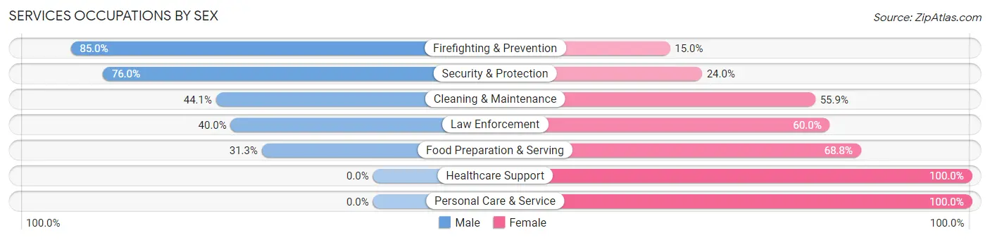 Services Occupations by Sex in Zip Code 01034