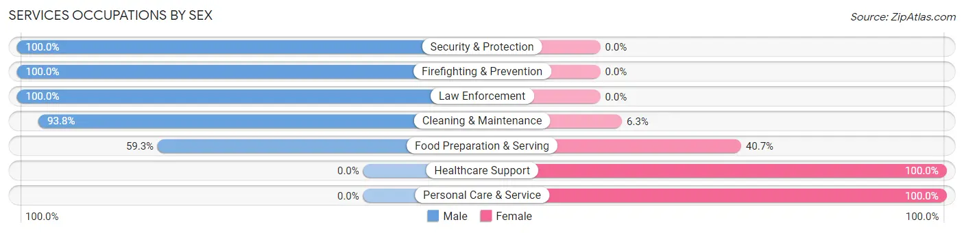 Services Occupations by Sex in Zip Code 01035