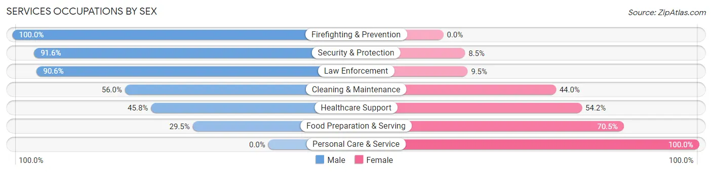 Services Occupations by Sex in Zip Code 01036