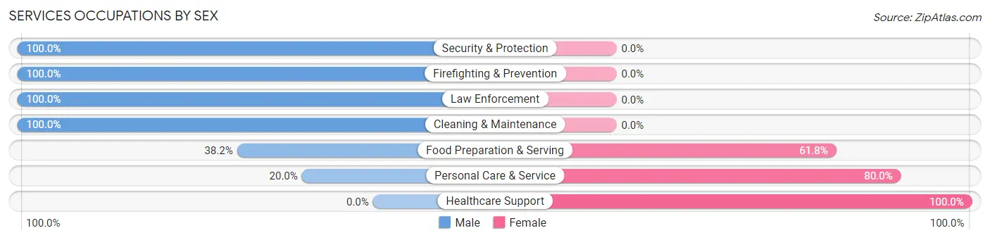 Services Occupations by Sex in Zip Code 01038