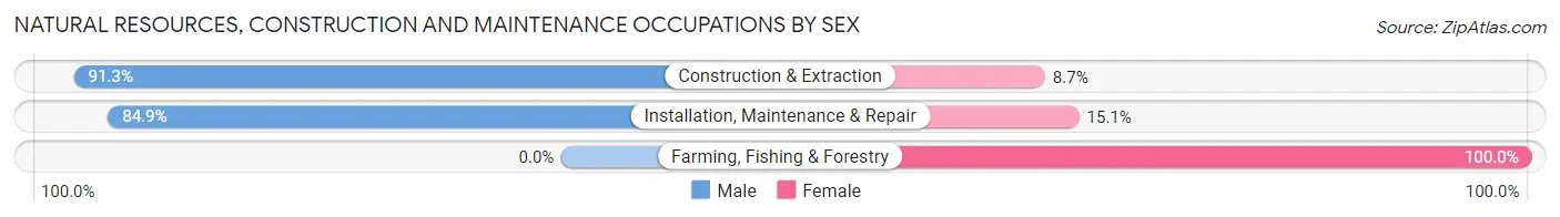 Natural Resources, Construction and Maintenance Occupations by Sex in Zip Code 01040
