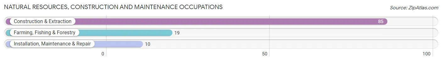 Natural Resources, Construction and Maintenance Occupations in Zip Code 01054