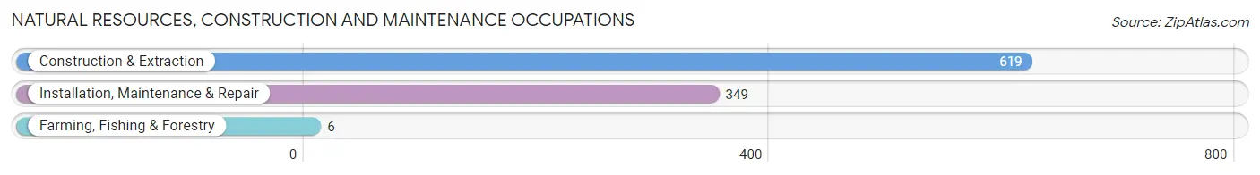 Natural Resources, Construction and Maintenance Occupations in Zip Code 01056