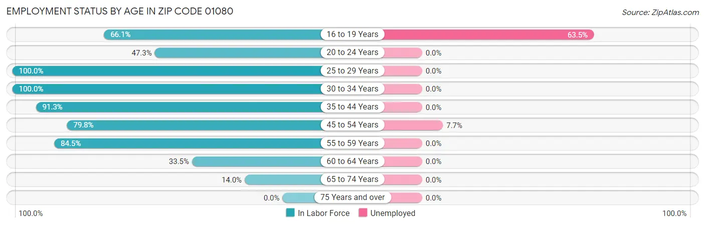 Employment Status by Age in Zip Code 01080