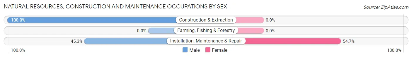 Natural Resources, Construction and Maintenance Occupations by Sex in Zip Code 01080
