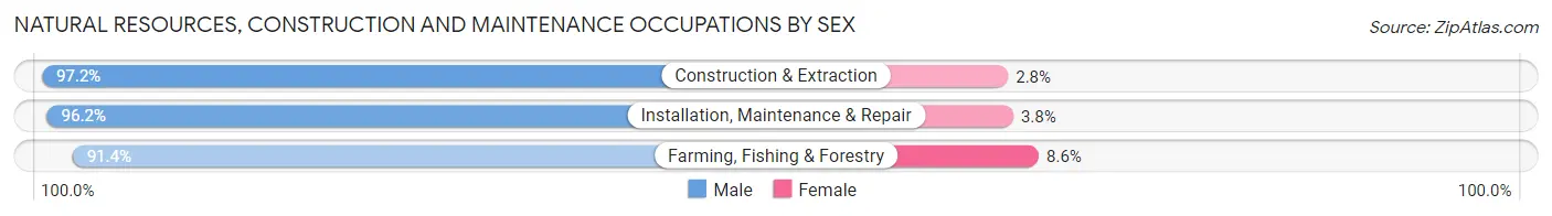 Natural Resources, Construction and Maintenance Occupations by Sex in Zip Code 01085