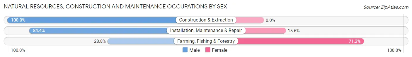 Natural Resources, Construction and Maintenance Occupations by Sex in Zip Code 01089