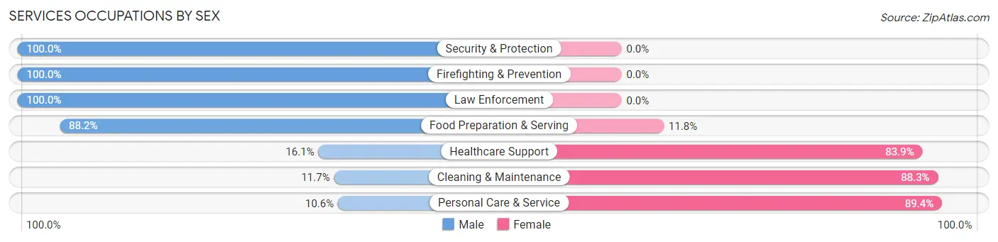 Services Occupations by Sex in Zip Code 01105
