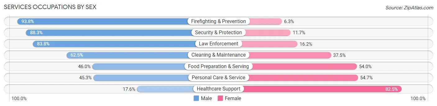 Services Occupations by Sex in Zip Code 01108