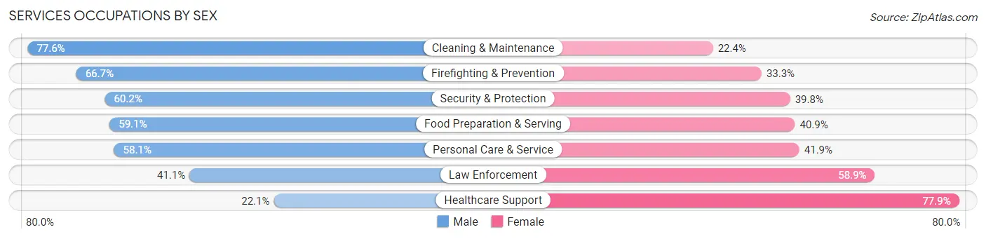 Services Occupations by Sex in Zip Code 01109