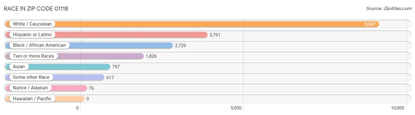 Race in Zip Code 01118
