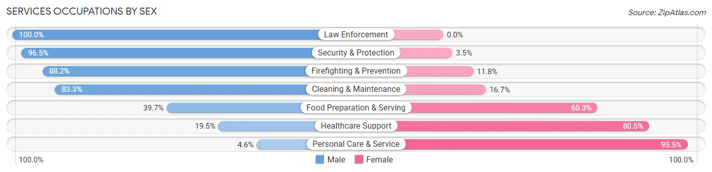 Services Occupations by Sex in Zip Code 01119
