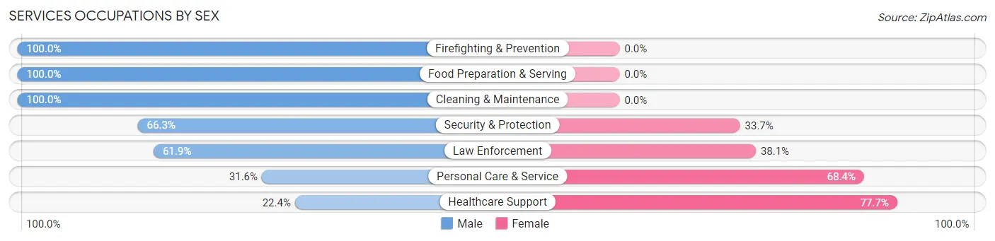 Services Occupations by Sex in Zip Code 01128