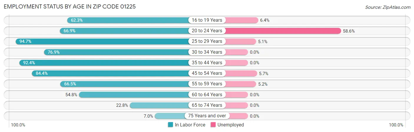 Employment Status by Age in Zip Code 01225