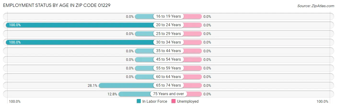 Employment Status by Age in Zip Code 01229