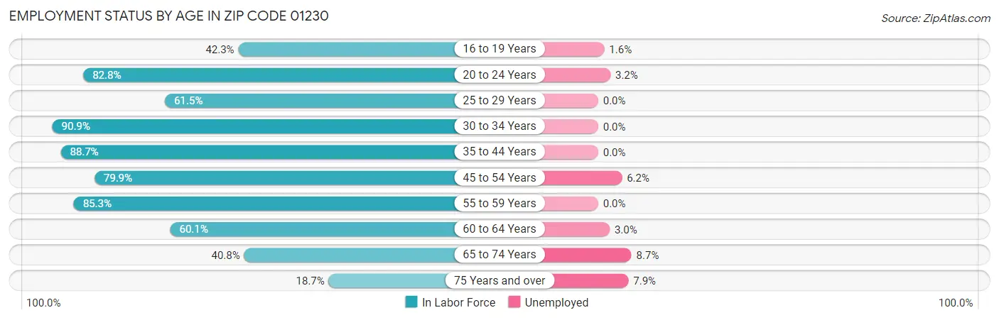 Employment Status by Age in Zip Code 01230