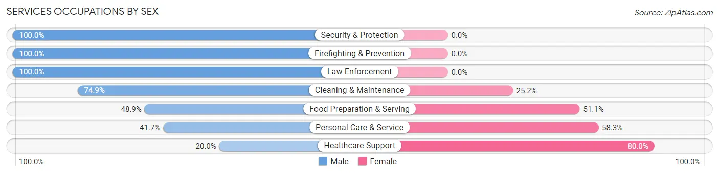 Services Occupations by Sex in Zip Code 01238