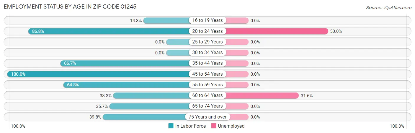 Employment Status by Age in Zip Code 01245
