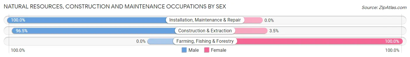 Natural Resources, Construction and Maintenance Occupations by Sex in Zip Code 01253