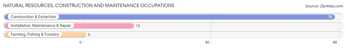 Natural Resources, Construction and Maintenance Occupations in Zip Code 01262