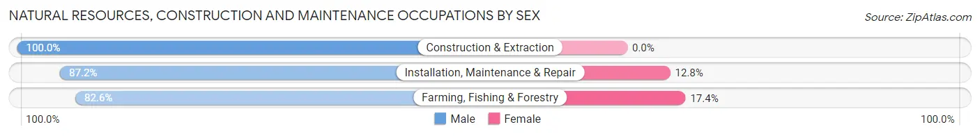 Natural Resources, Construction and Maintenance Occupations by Sex in Zip Code 01339