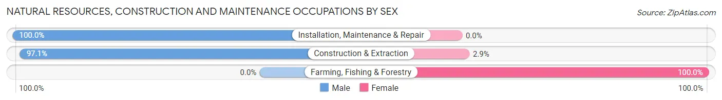 Natural Resources, Construction and Maintenance Occupations by Sex in Zip Code 01370