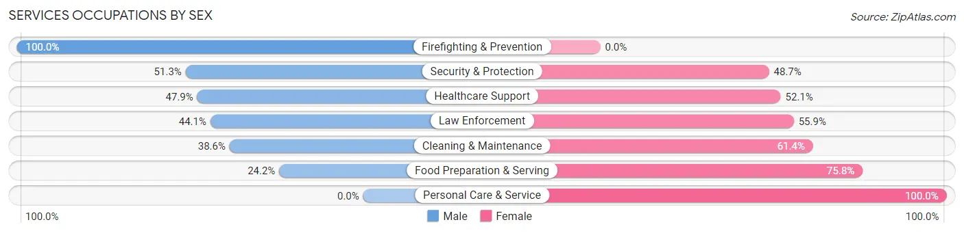Services Occupations by Sex in Zip Code 01373