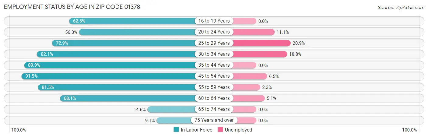 Employment Status by Age in Zip Code 01378