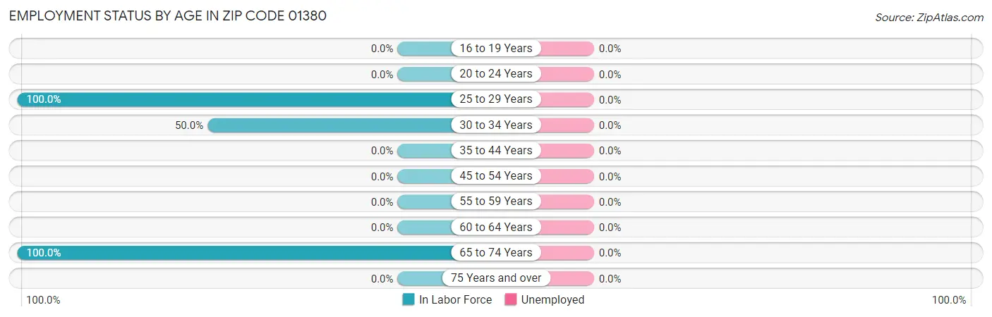 Employment Status by Age in Zip Code 01380