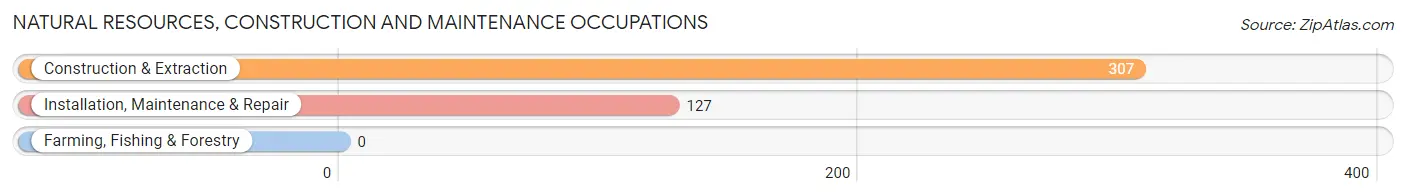 Natural Resources, Construction and Maintenance Occupations in Zip Code 01520