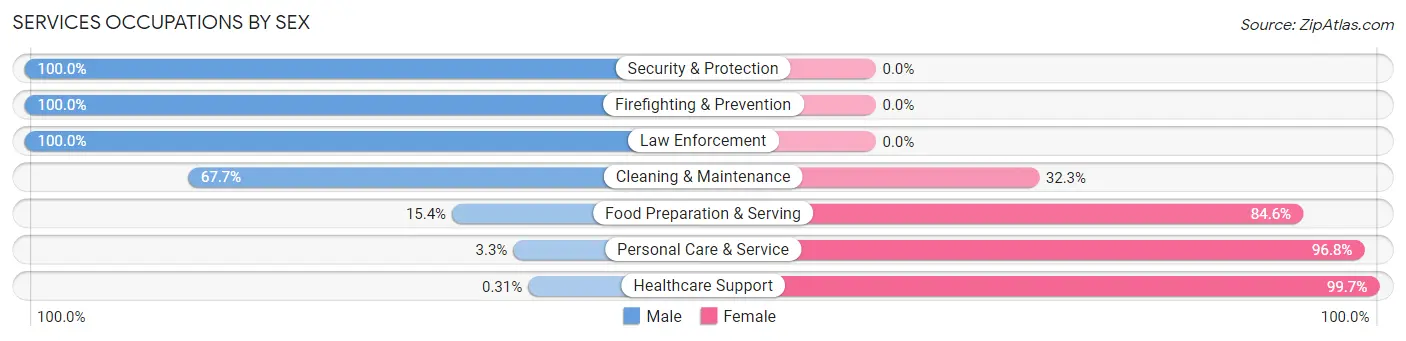 Services Occupations by Sex in Zip Code 01527