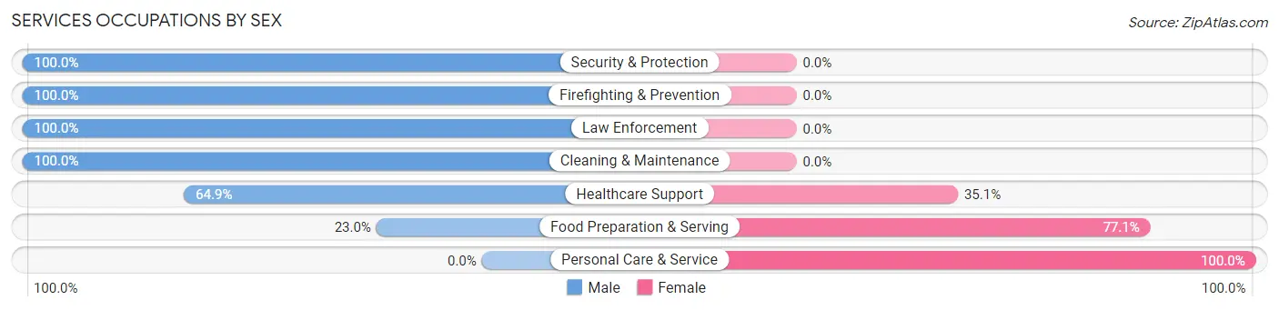 Services Occupations by Sex in Zip Code 01541