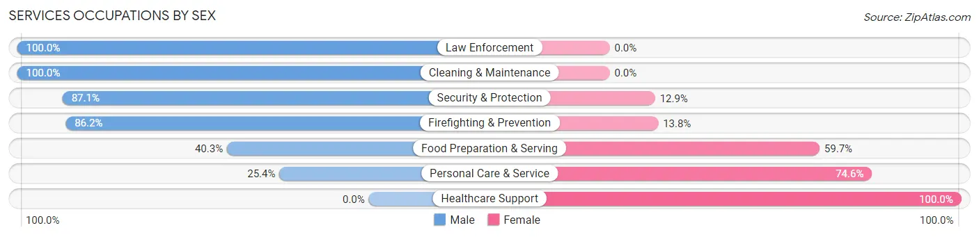 Services Occupations by Sex in Zip Code 01612