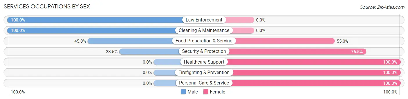 Services Occupations by Sex in Zip Code 01741