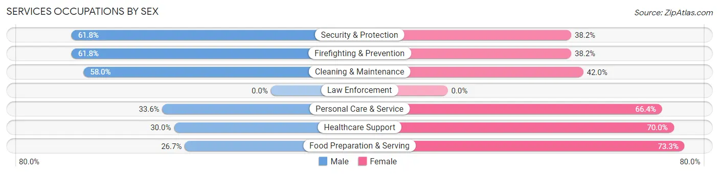 Services Occupations by Sex in Zip Code 01742