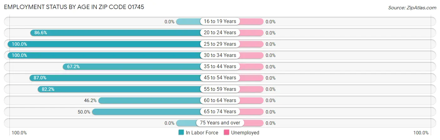 Employment Status by Age in Zip Code 01745