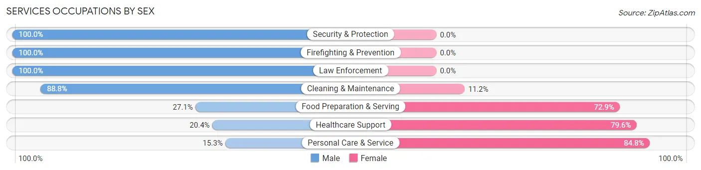 Services Occupations by Sex in Zip Code 01747
