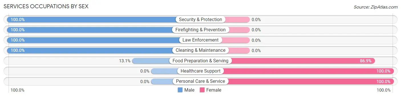 Services Occupations by Sex in Zip Code 01770
