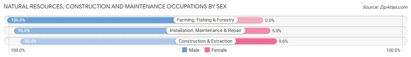 Natural Resources, Construction and Maintenance Occupations by Sex in Zip Code 01801