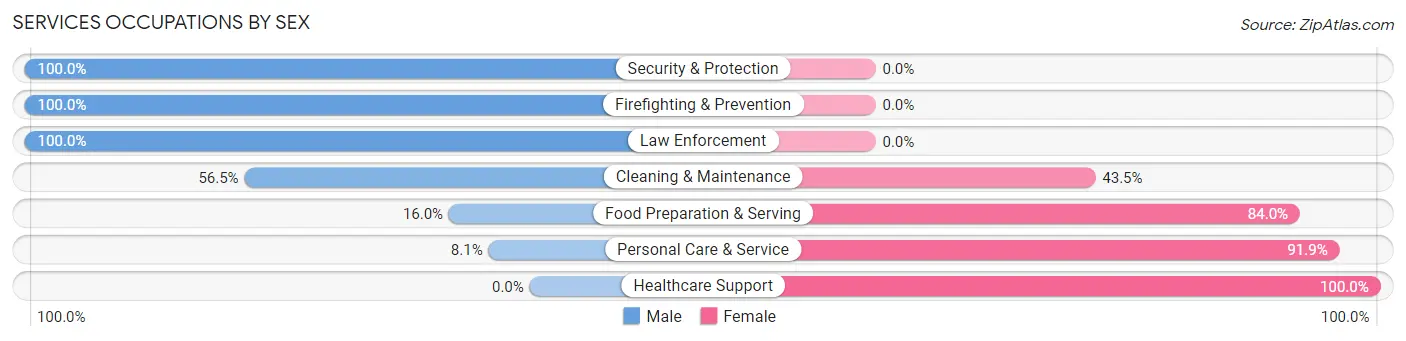 Services Occupations by Sex in Zip Code 01863