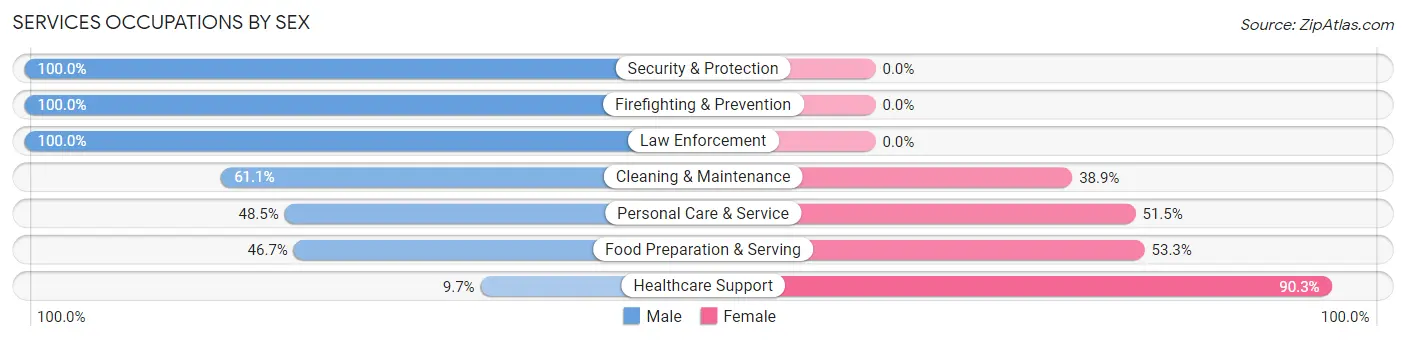 Services Occupations by Sex in Zip Code 01867
