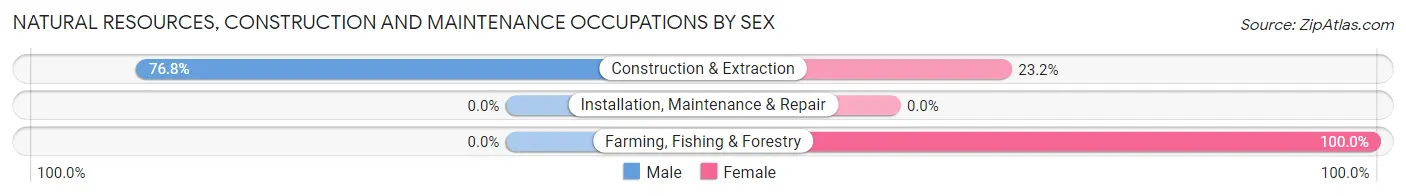 Natural Resources, Construction and Maintenance Occupations by Sex in Zip Code 01944