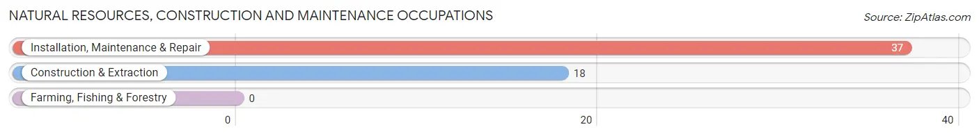 Natural Resources, Construction and Maintenance Occupations in Zip Code 01983