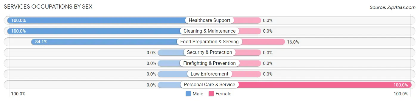 Services Occupations by Sex in Zip Code 02025