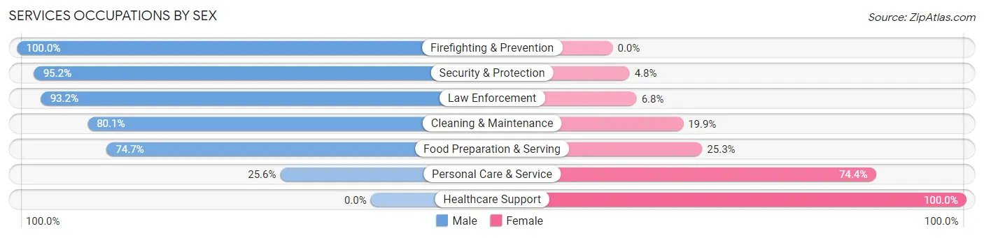 Services Occupations by Sex in Zip Code 02035