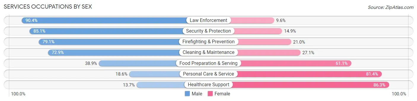 Services Occupations by Sex in Zip Code 02038