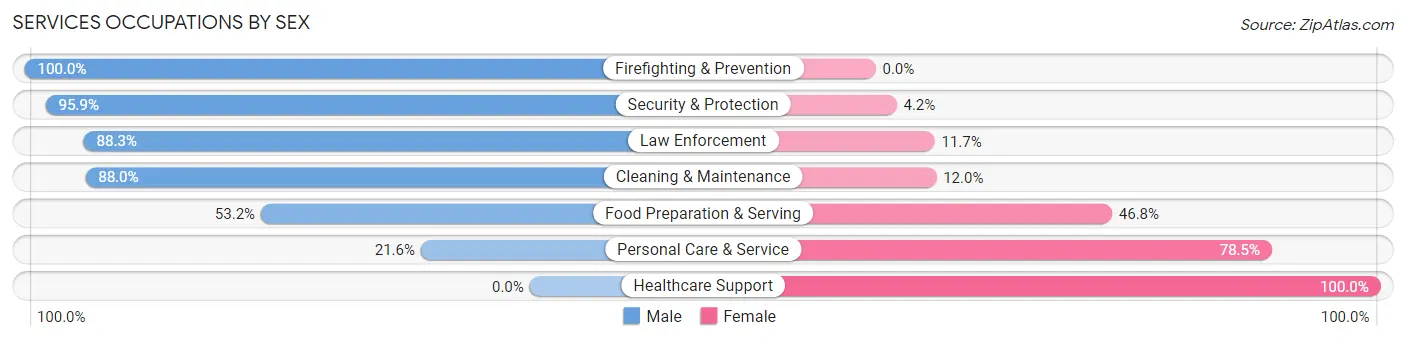 Services Occupations by Sex in Zip Code 02045