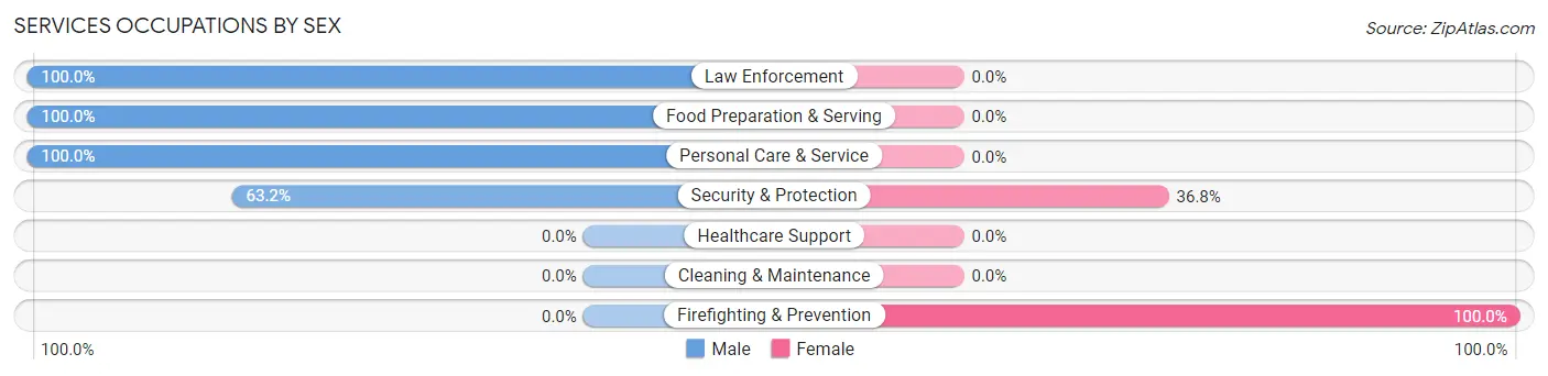 Services Occupations by Sex in Zip Code 02071